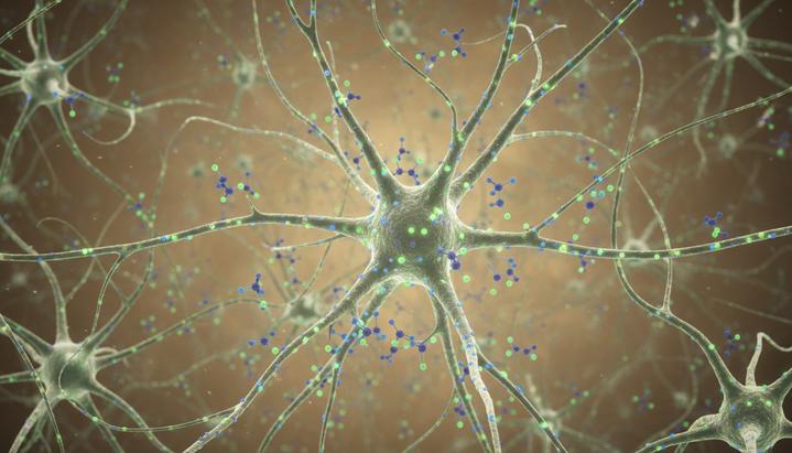 Микроскопическое изображение нейронной сети в мозге, показывающее светящиеся входящие химические сигналы на дендритах нейронов.