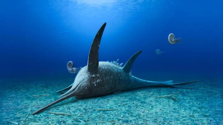 Учёные описали новый вид морского ящера Eurhinosaurus mistelgauensis