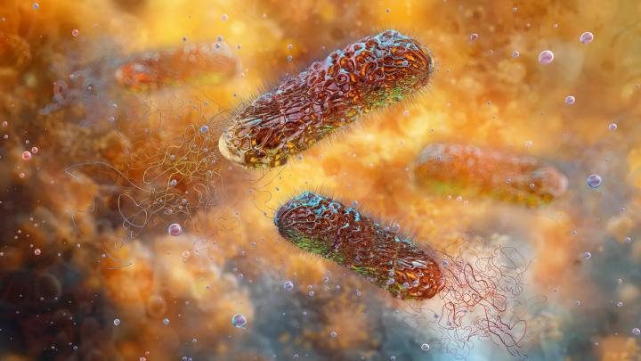 Новый антибиотик в 100 раз мощнее существующих против супербактерий