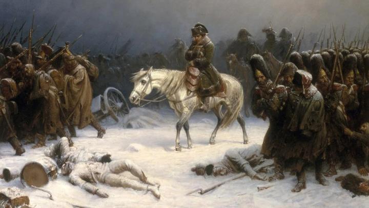 Генетический анализ раскрывает роль болезней в катастрофе армии Наполеона