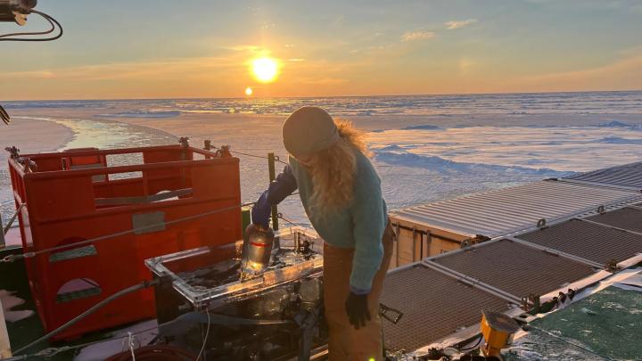 Таяние льдов Арктики способствует росту морской жизни и поглощению CO2