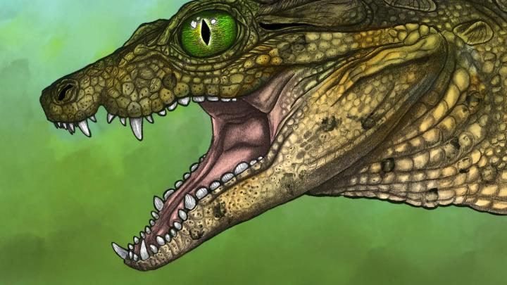 Thikarisuchus xenodentes: новый наземный крокодиломорф из Мелового периода Монтаны