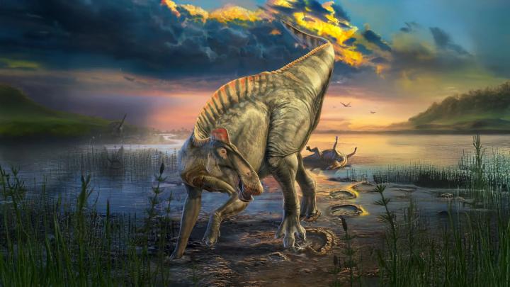 Уникальные «мумии» динозавров раскрыли облик утконосого Edmontosaurus annectens