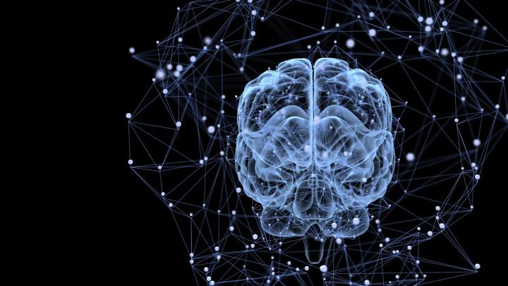 Роль белка KCC2 в обучении и формировании зависимостей