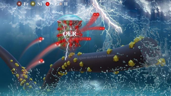 Катализатор из лигнина открывает путь к экономичному производству водорода