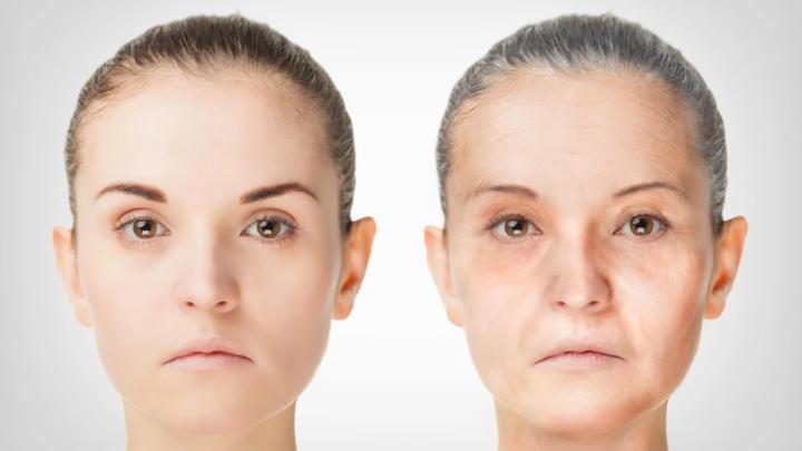 Взаимосвязь метаболизма, TOR-сигнализации и старения раскрыта в дрожжах