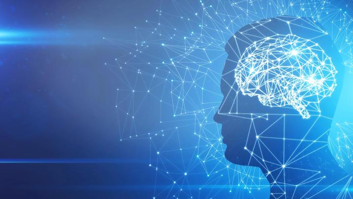 Пять ключевых этапов структурной реорганизации мозга человека от рождения до старости