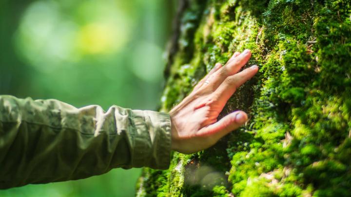 Современная среда опережает эволюцию человека, вызывая хронические болезни