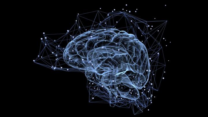 Мозг управляет зрением, адаптируя его к уровню возбуждения и движению