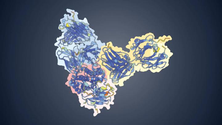 ИИ открыл путь к созданию эффективных вакцин против оспы обезьян