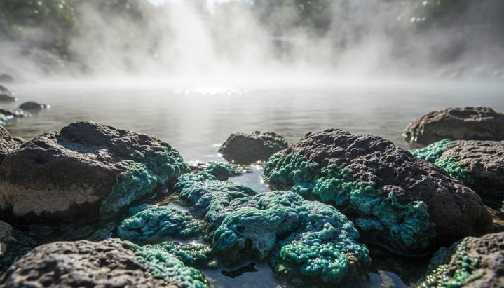 В горячих источниках Таиланда нашли бактерии с уникальным УФ-фильтром