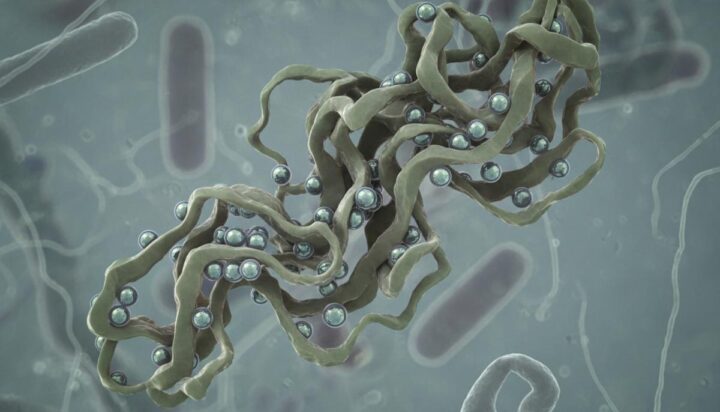 Созданы наночастицы для уничтожения белков, вызывающих рак и деменцию