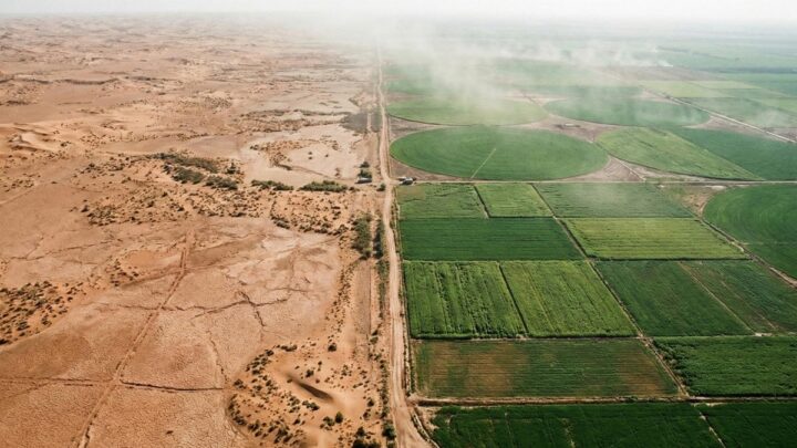 Деревья против воды: цена масштабных экологических проектов Китая