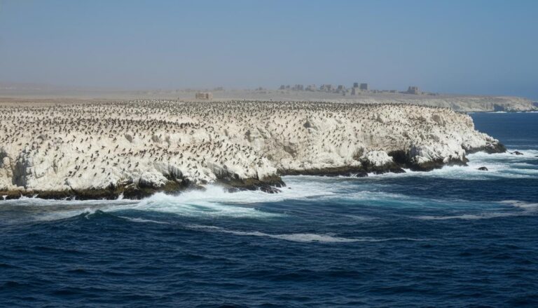 Помет морских птиц обеспечил могущество древнего царства Чинча