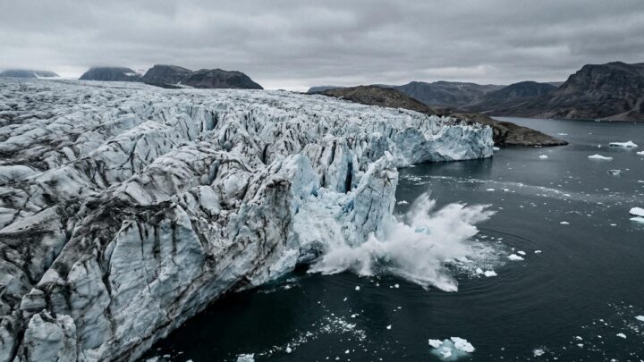Последствия потепления: как меняется климат и здоровье планеты
