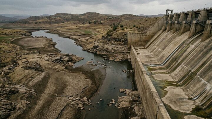 Экология вне квот: природе редко оставляют долю в реках