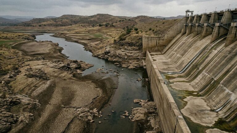 Экология вне квот: природе редко оставляют долю в реках